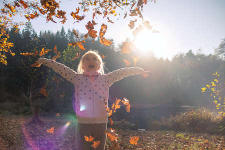 Smiling girl child throwing dry leaves in the air at beautiful autumn sunset.の写真素材