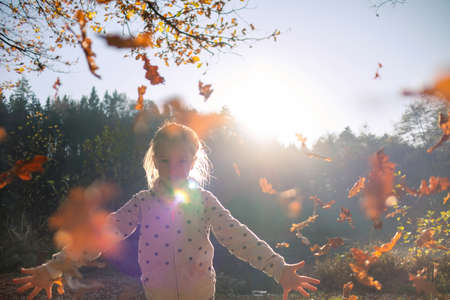 Smiling girl child throwing dry leaves in the air at beautiful autumn sunset.の写真素材