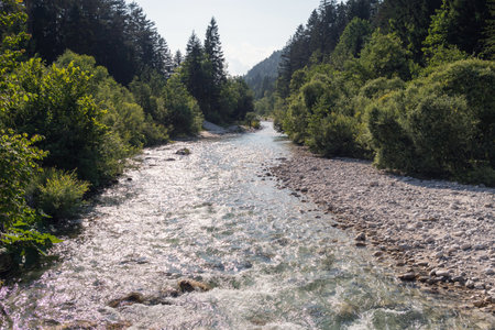 River in a forest. Beautiful green nature. Blue sunny sky.の写真素材