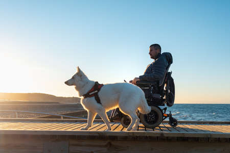 Service dog and man with disability on wheelchair outside on sun.の写真素材
