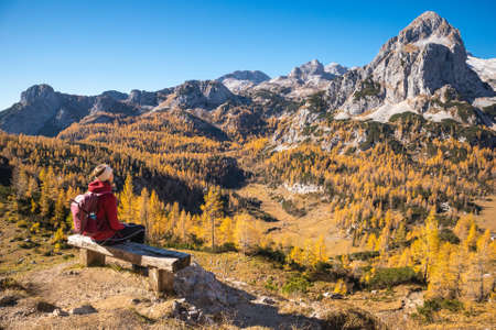 Female hiker on a bench enjoying mountain panorama view on a sunny autumn day with golden larch trees.の写真素材