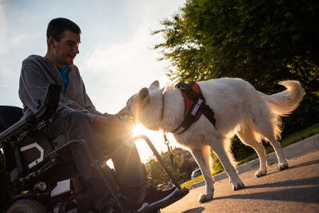 Man with disability with his service dog using electric wheelchair.の写真素材