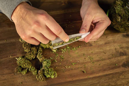 Man rolling marijuana cannabis joint in coffee shop Amsterdam with CBD weed buds in glass jars.の写真素材