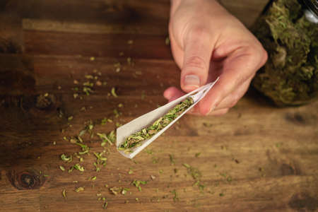 Man rolling marijuana cannabis joint in coffee shop Amsterdam with CBD weed buds in glass jars.