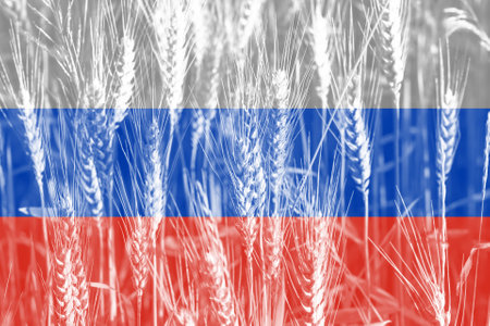 Wheat price increase in Russia with flag as a concept.の写真素材