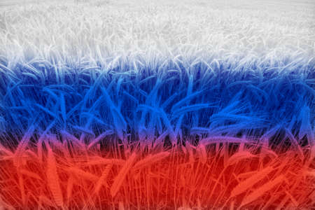Wheat price increase in Russia with flag as a concept.の写真素材