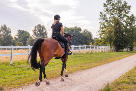 Horsewoman in black equestrian outfit riding her beautiful chestnut horse along the trail on a summer day. Horsemanship concept.の写真素材