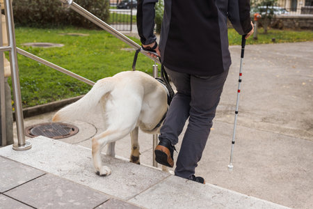 Visually impaired woman walking down the stairs with the help of her guide dog. Visual disability and independent lifestyles concept.の写真素材