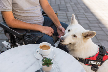 Man with disability outside in a city with his service dog using electric wheelchair.の写真素材