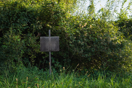 Empty blank wooden sign board on a pole in a forestの写真素材