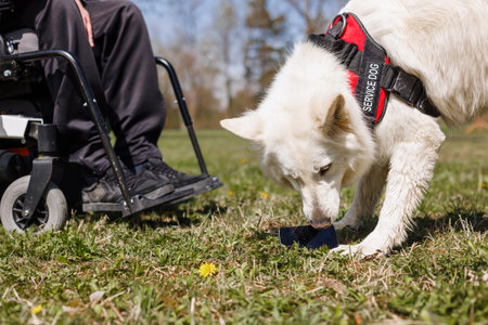 Man with disability outside in park with his service dog using electric wheelchair.の写真素材
