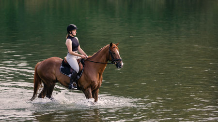 Scenic view of a female horseback rider on a beautiful red chestnut horse riding in the river towards the setting sun. Animals, people, and environment concept.の写真素材