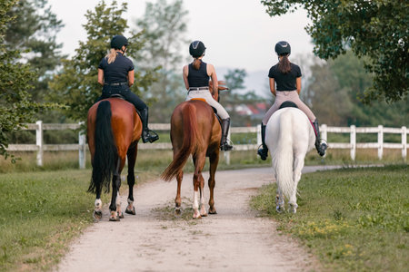 Three horsewomen enjoy riding beautiful horses, side by side along the trail at the equestrian center on a sunny dayの写真素材