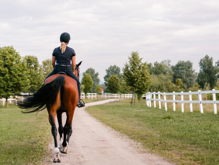 Horsewoman in black equestrian outfit riding her beautiful chestnut horse along the trail on a summer day. Horsemanship concept.の写真素材