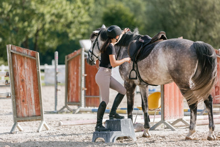 Young woman jockey getting up on her horse outside in summerの写真素材