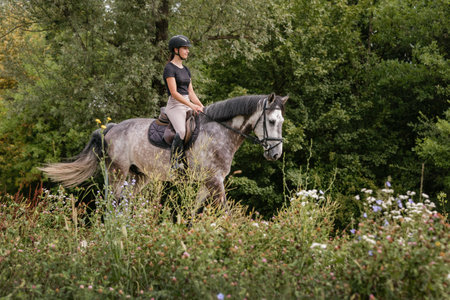Female rider, horseback riding along the trail that leads between wood fences and fields. Equestrian...