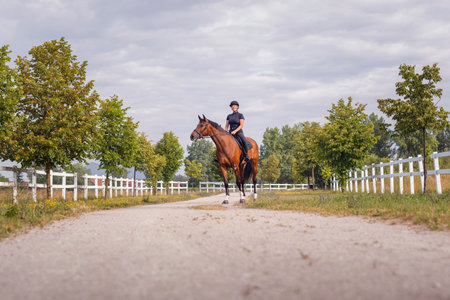 Female rider, horseback riding along the trail that leads between white wood fences and fields. Equestrian leisure activity concept.の写真素材