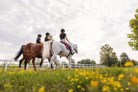 Rear view of three female riders riding horses side by side near white wood fencing, returning to the horse farmの写真素材