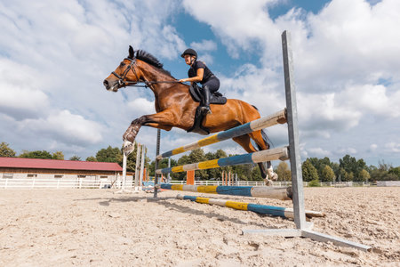 Female horseback rider jumping over a hurdle, a log fence, during training for equestrian competition, low angle view. Art and practice horse riding concept.の写真素材