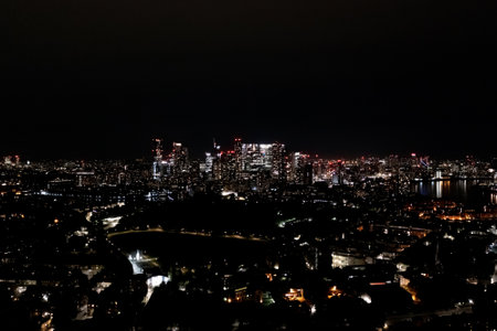 London business district, Canary Wharf cityscape at night, glittering residential towers, skyscrapers, and modern buildings rising on the skyline, aerial view.の写真素材