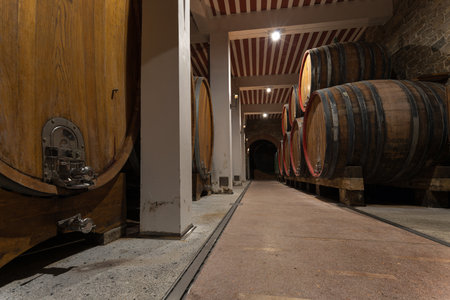 Underground dark cool arched wine cellar, storage room with large wooden barrels, placed in a line,...