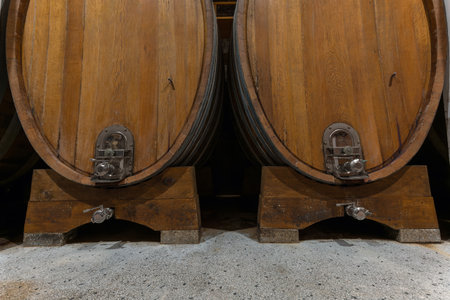 Old oak barrel rows in an authentic wine cellar of the french traditional winery