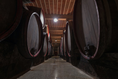 Old oak barrel rows in an authentic wine cellar of the french traditional winery