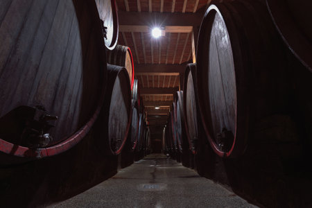 Traditional wine cellar interior with stacked old wooden barrels. Concept of touristic wine route and winemaking business.の写真素材