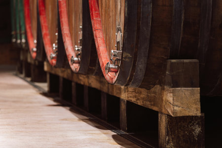 Underground dark cool arched wine cellar, storage room with large wooden barrels, placed in a line,...