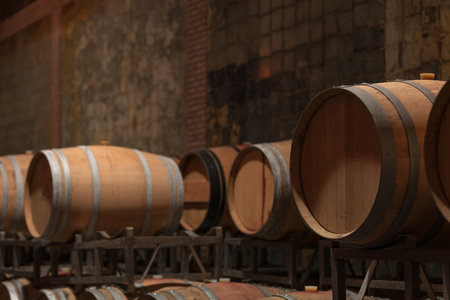 Wooden barrels for white and red wine aging, in rows and stacked, with golden and red written...