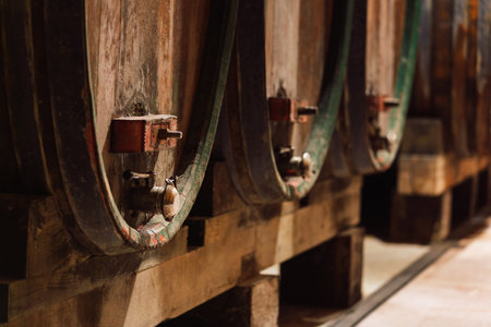 Wine cellar, underground cool dry stone walls storage room, with authentic old oak barrels and casks...