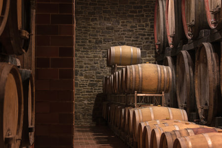 The ambiance of the traditional wine cellar, aging red wine barrels, wooden casks in rows in the...