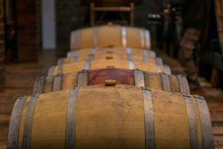Traditional high ceiling wine cellar with stone walls, arched passage, and large oak barrels, low...