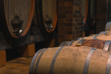 Rows of wooden wine-filled casks line the cellar of the winery, a wine vault with long tradition and...