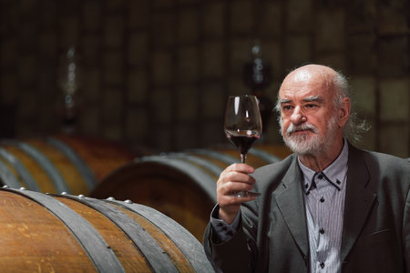 Senior Caucasian tourist, greybeard elegant man tasting red wine in an underground wine cellar of...
