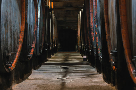 Traditional wine cellar interior with stacked old wooden barrels. Concept of touristic wine route and winemaking business.の写真素材