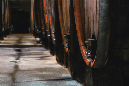 Old oak barrel rows in an authentic wine cellar of the french traditional wineryの写真素材