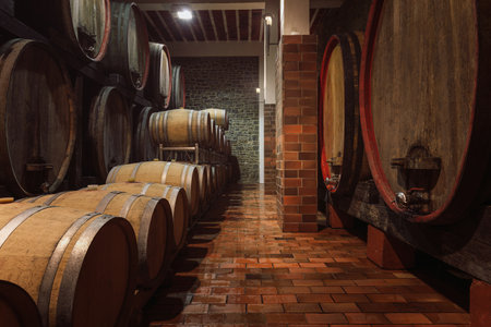 Underground dark cool arched wine cellar, storage room with large wooden barrels, placed in a line,...
