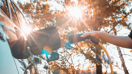Female hand putting a cable charger in an electric car illuminated by the sun rays breaking through the branches of the leafy tree, close upの写真素材