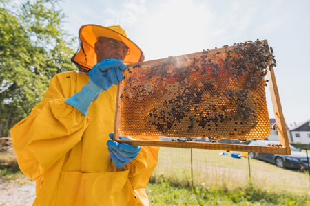 Beekeeper in yellow protective gear holding hive frame with honeycomb, showing capped honey and...