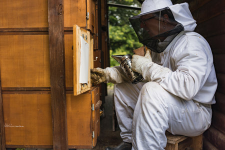 Male beekeeper doing an inspection, opening the beehive, checking brood and honey, side view. Concept of maintenance of bee colony.の写真素材