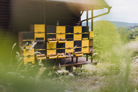Beehive entrance with a landing pad, honey bees coming and going, taking off and landing