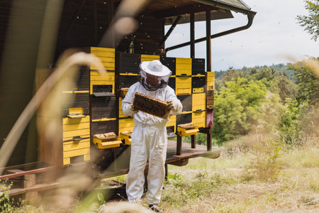 Beekeeper in full protective gear standing in front of beehive boxes, holding and inspecting a frame...