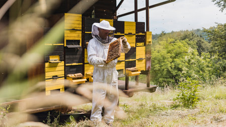 Male beekeeper in full protective gear working in an apiary, checking the beehive while a bee swarm...