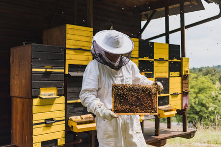 Beekeeper in full protective gear standing in front of beehive boxes, holding and inspecting a frame...