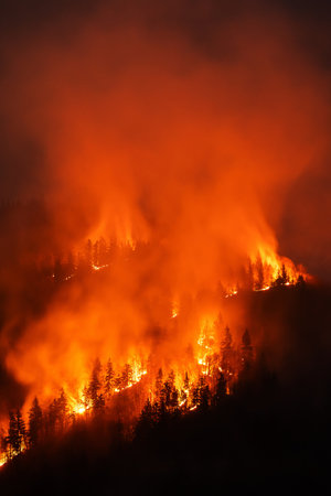 Mountain forest wildfire at night with burning trees