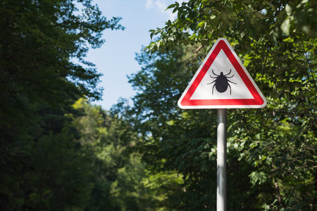 Tick Infected area with danger sign. Risk of tick-borne and lyme disease.
