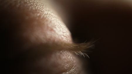 Closed eye and lashes, extreme macro close-up view. Perspective, perception, and eyesight concepts.の写真素材