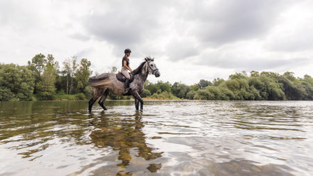 Gray horse with a female rider in the saddle walking through river water. Ecotourism and equestrian recreation sport concept.の写真素材