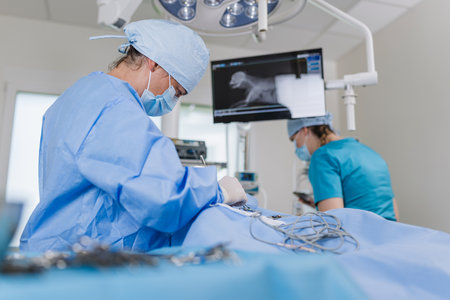 Tumor removal operation in dog performed by a female veterinarian with the assistance of a technician in the operating room.の写真素材